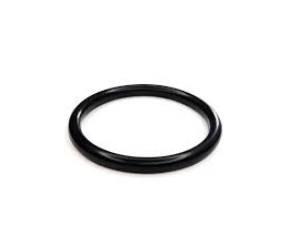 W&H 1862300 — Уплотнительное кольцо для A-25 LT, A-25 A, A-25 BC, A-25 RM