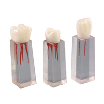 Jingle JG-YS3 — Модель корневого канала