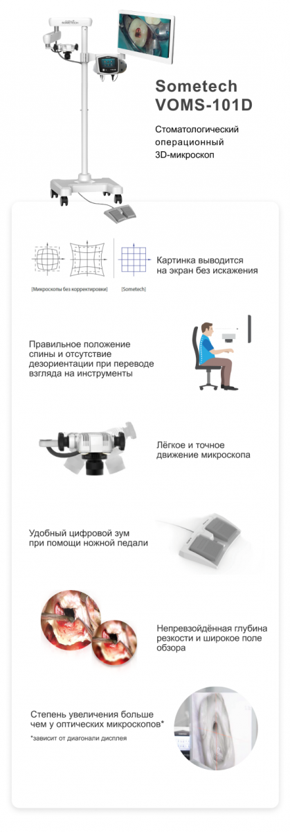 Sometech Описание.png