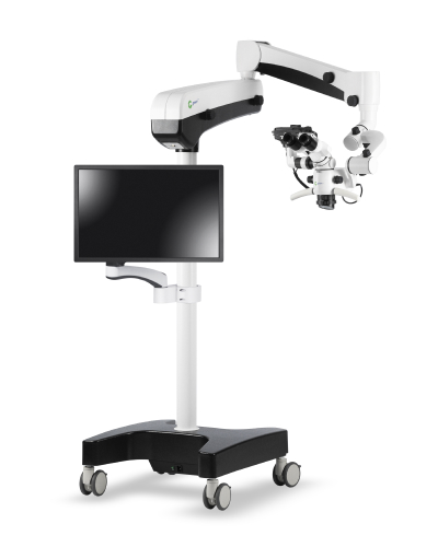 В полный рост.jpg