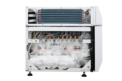 ESCO 45 L – автоклав класса В