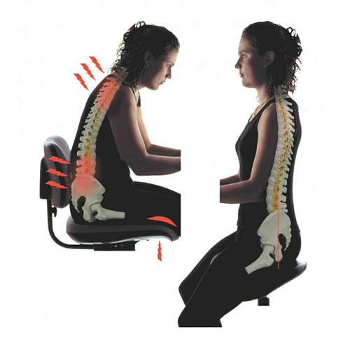 Salli Strong - эргономичный стул врача-стоматолога, усиленный